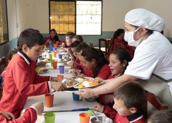 A niños de Santander les dieron carne de caballo y burro en raciones escolares