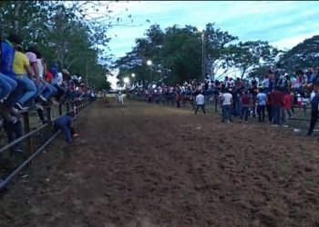 Inspección de Policía realizará citación a los organizadores del coleo realizado en Panamá de Arauca