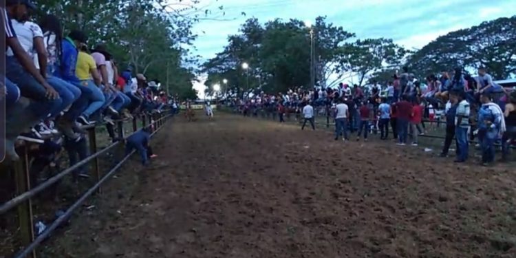 Inspección de Policía realizará citación a los organizadores del coleo realizado en Panamá de Arauca
