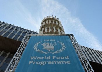 Premio Nobel de Paz al Programa Mundial de Alimentos