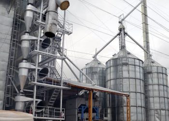 Cerca de 3 mil millones de pesos costaría planta procesadora de arroz para el municipio de Arauca