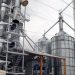 Cerca de 3 mil millones de pesos costaría planta procesadora de arroz para el municipio de Arauca