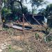 Invasiones: Un problema que se acentúa en Arauca