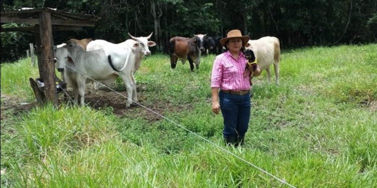 Conozca la historia de las mujeres productoras del campo, a propósito del día internacional de la mujer rural