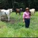 Conozca la historia de las mujeres productoras del campo, a propósito del día internacional de la mujer rural