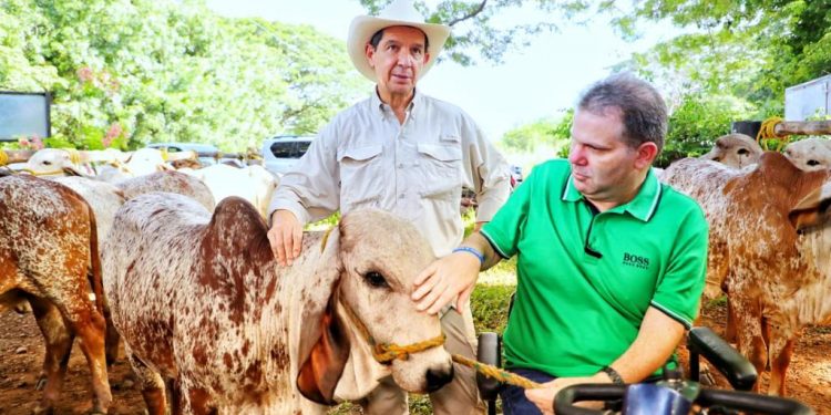 Lanzamiento del Ciclo II de vacunación contra fiebre aftosa, brucelosis y rabia bovina