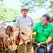 Lanzamiento del Ciclo II de vacunación contra fiebre aftosa, brucelosis y rabia bovina