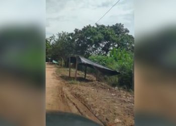 En medio de la pandemia, aumentan las invasiones a predios en Arauca