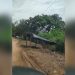 En medio de la pandemia, aumentan las invasiones a predios en Arauca