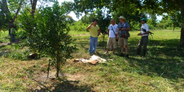 Comunidad rechaza la construcción de una planta de gas en predios de una institución educativa en Saravena