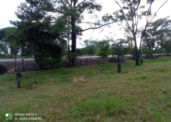 Ejército Nacional destruyó controladamente un área minada en Saravena