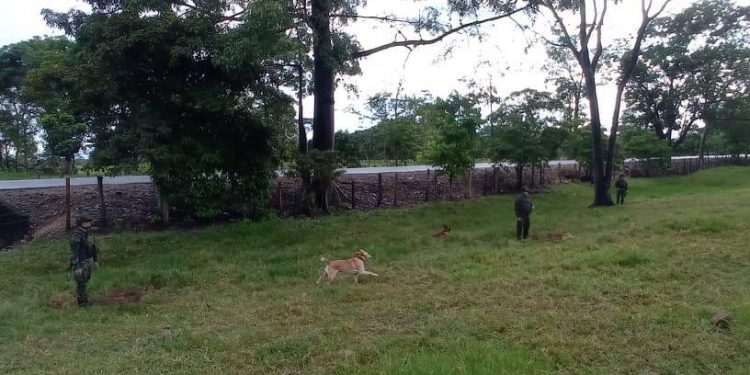Ejército Nacional destruyó controladamente un área minada en Saravena