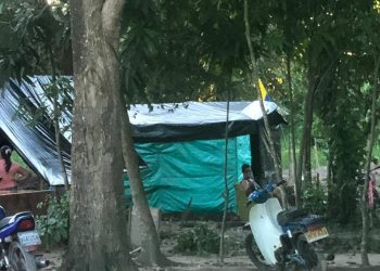 Comunidad denuncia nueva invasión en el parque ecológico de la comuna 3