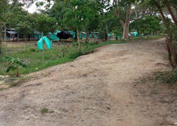 Comunidad vecina al parque ecológico de la comuna 3 denuncia que invasión crece día a día
