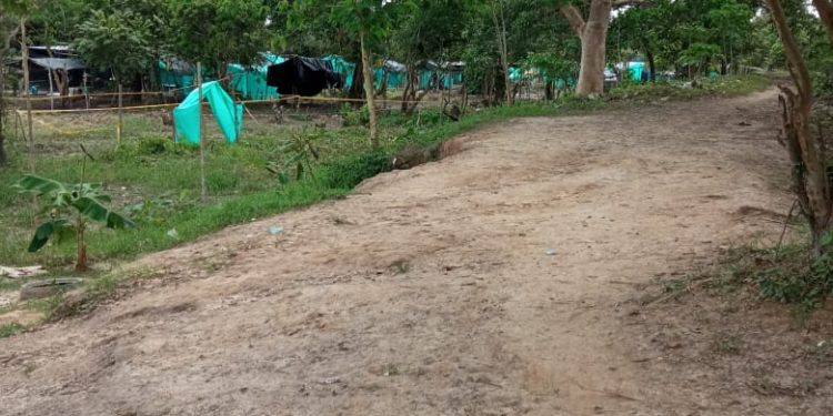 Comunidad vecina al parque ecológico de la comuna 3 denuncia que invasión crece día a día