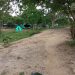 Comunidad vecina al parque ecológico de la comuna 3 denuncia que invasión crece día a día