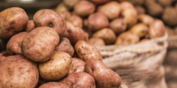 Para salvar sus productos ante la pandemia papicultores colombianos lanzan un S.O.S.