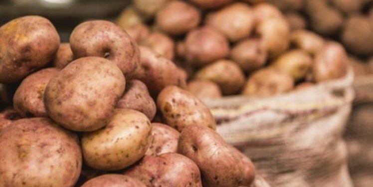 Para salvar sus productos ante la pandemia papicultores colombianos lanzan un S.O.S.
