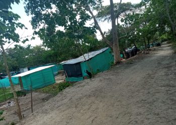 Arauca: Problemática de invasión en el parque ecológico se acentúa