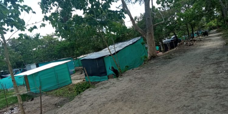 Arauca: Problemática de invasión en el parque ecológico se acentúa