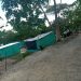 Arauca: Problemática de invasión en el parque ecológico se acentúa