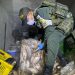 Polfa incautó cargamento de 630 kilos de pescado de contrabando