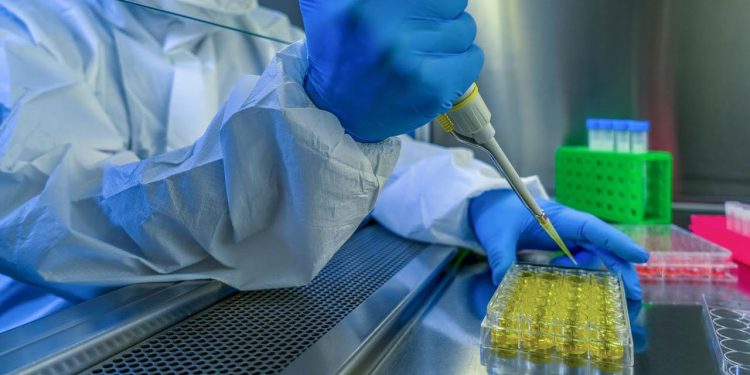 Lo que se sabe de la nueva variante del coronavirus que apareció en Reino Unido