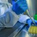 Lo que se sabe de la nueva variante del coronavirus que apareció en Reino Unido