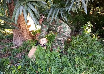 Ejército destruyó artefactos explosivos cerca a una cancha en Arauquita
