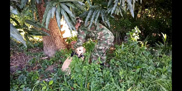 Ejército destruyó artefactos explosivos cerca a una cancha en Arauquita