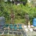 Ejército destruyó de forma controlada artefactos explosivos en Arauca y Casanare