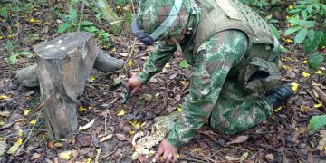 Ejército destruyó área preparada con explosivos en Cubará, Boyacá