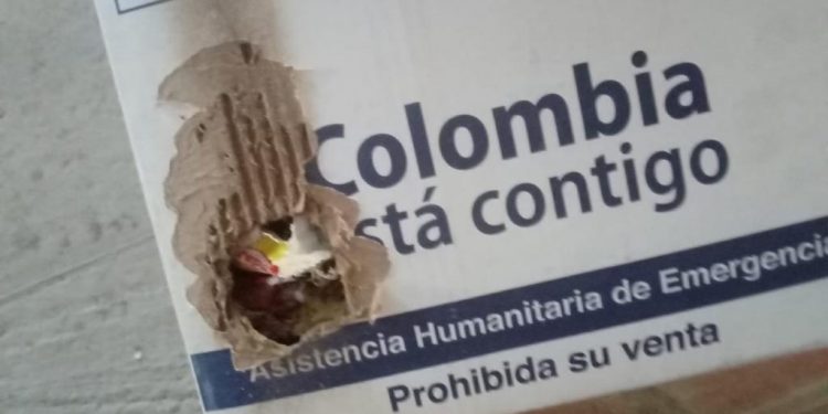 ¡Sinvergüenzas! Dejaron que roedores se comieran mercados para ayudar a familias vulnerables