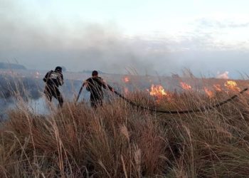 Incendios  forestales se registran en Arauca, Tame y Cravo Norte