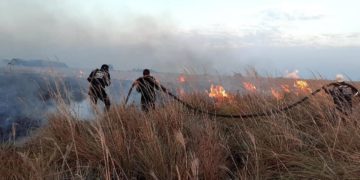 Incendios  forestales se registran en Arauca, Tame y Cravo Norte