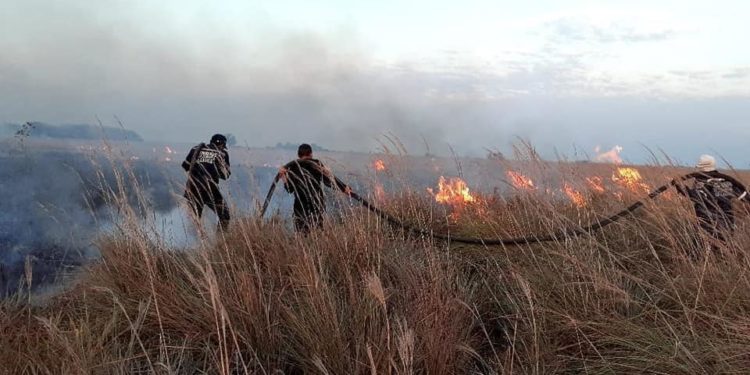 Incendios  forestales se registran en Arauca, Tame y Cravo Norte