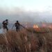 Incendios  forestales se registran en Arauca, Tame y Cravo Norte