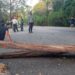 Se cumplen 4 días de protestas en vías del departamento de Arauca