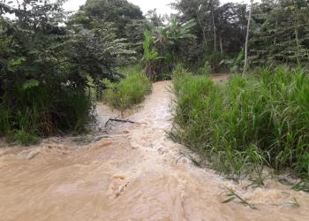 Alto grado de colmatación del río Arauca podría generar desbarrancamientos e inundaciones