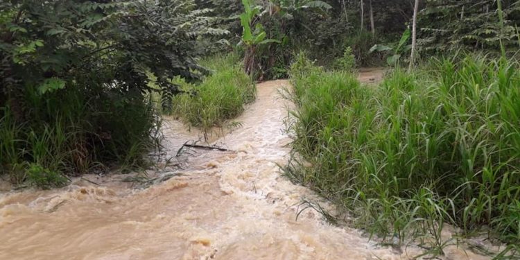 Alto grado de colmatación del río Arauca podría generar desbarrancamientos e inundaciones