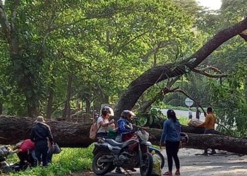 SierraCol Energy denunció ocupación ilegal de predios del complejo petrolero Caño Limón