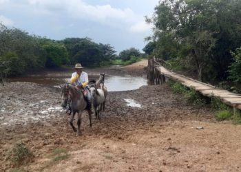 Incomunicados: Campesinos de la vereda Los Caballos sin puente para sacar sus productos