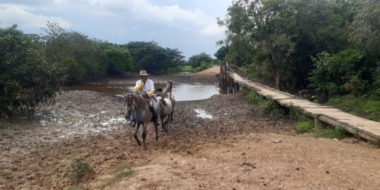 Incomunicados: Campesinos de la vereda Los Caballos sin puente para sacar sus productos