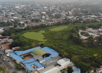 La Madre Vieja: El Humedal que se hunde entre el abandono y la delincuencia