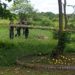 Hombre fue hallado muerto en el barrio Flor de mi Llano de Arauca