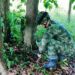 Ejército Nacional frustró posible atentado en Arauquita