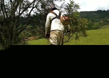 Pequeños productores paralizados por falta de gasolina