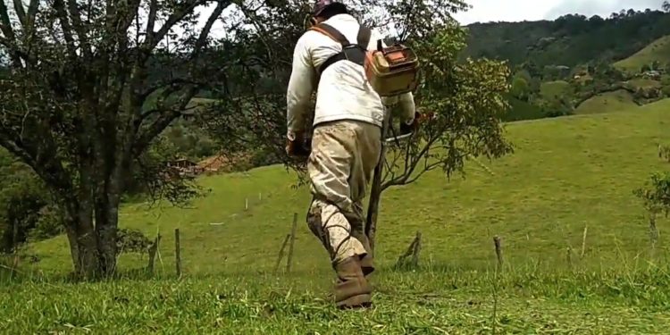 Pequeños productores paralizados por falta de gasolina