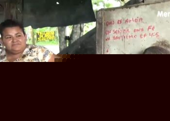 Una pequeña trilladora de arroz; la esperanza de una familia campesina en Arauca