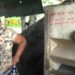 Una pequeña trilladora de arroz; la esperanza de una familia campesina en Arauca